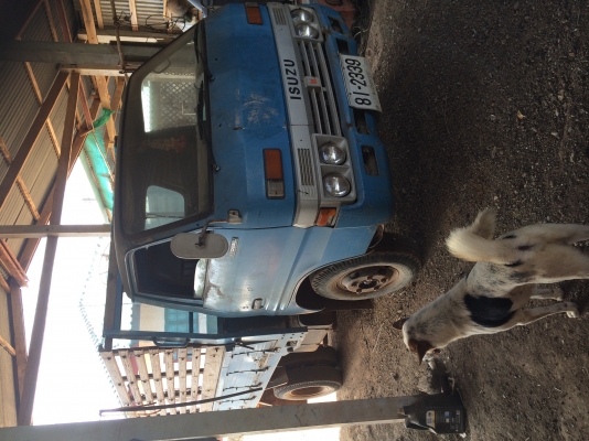 ขาย 6 ล้อ 85 แรงาภาพดีมากๆๆ เครื่องดี คัทชีสวย