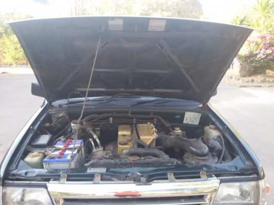 มังกรทองยอดประหยัด ปี95 เดิมบาง ขีดีมากๆ ถูกมาก118000 มังกรทองยอดประหยัด ปี95 เดิมบาง ขีดีมากๆ ถูกมาก118000