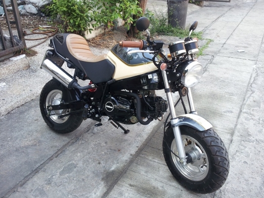 ขาย stallions solo retro ปี 2014 สวยๆ ส่งได้ทั่วไทย ขาย stallions solo retro ปี 2014 สวยๆ ส่งได้ทั่วไทย