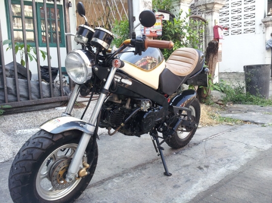 ขาย stallions solo retro ปี 2014 สวยๆ ส่งได้ทั่วไทย ขาย stallions solo retro ปี 2014 สวยๆ ส่งได้ทั่วไทย