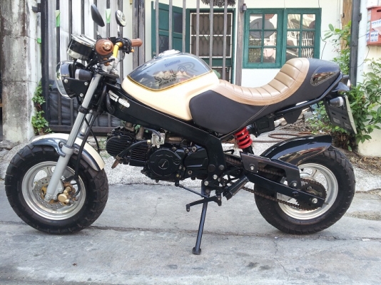 ขาย stallions solo retro ปี 2014 สวยๆ ส่งได้ทั่วไทย