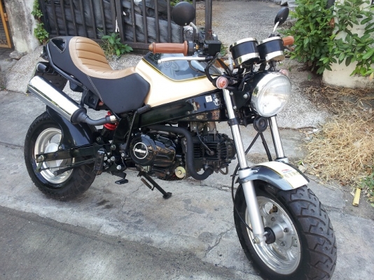 ขาย stallions solo retro ปี 2014 สวยๆ ส่งได้ทั่วไทย ขาย stallions solo retro ปี 2014 สวยๆ ส่งได้ทั่วไทย