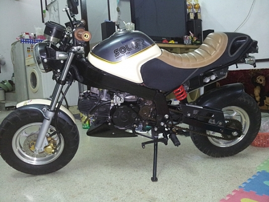 ขาย stallions solo retro ปี 2014 สวยๆ ส่งได้ทั่วไทย ขาย stallions solo retro ปี 2014 สวยๆ ส่งได้ทั่วไทย