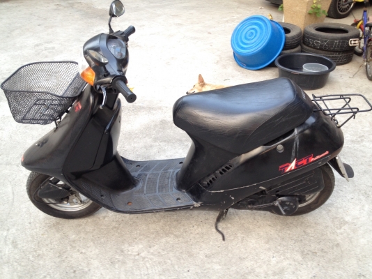 ขายรถป๊อบ Honda Tact