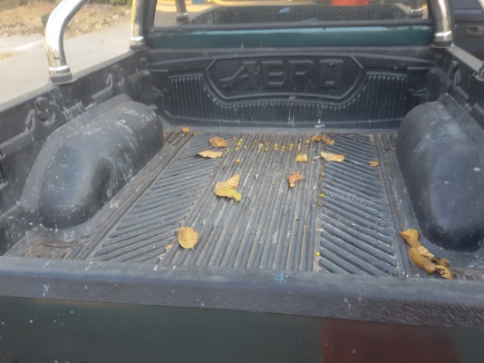 มังกรทองยอดประหยัด พวงมาลัยเพาเวอร์ ถูกมากๆ 98000 มังกรทองยอดประหยัด พวงมาลัยเพาเวอร์ ถูกมากๆ 98000