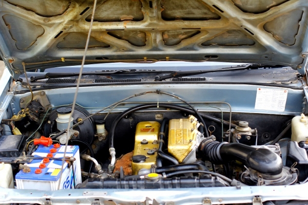 ขาย มังกร  สุดประหยัด แอร์หนาว