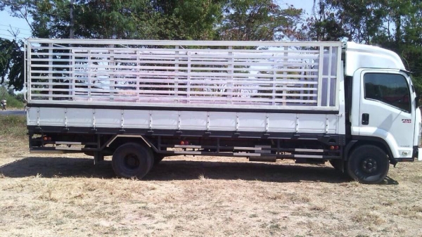 ขาย รถสวย พร้อมใช้งาน ISUZU FRR 210 แรงม้า ขาย รถสวย พร้อมใช้งาน ISUZU FRR 210 แรงม้า