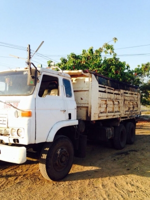 ขาย Nisan Ud 260 580,000