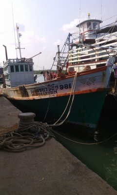 เรือประมง
