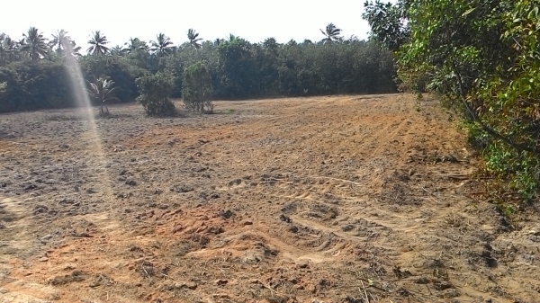 ขาย ที่ดิน