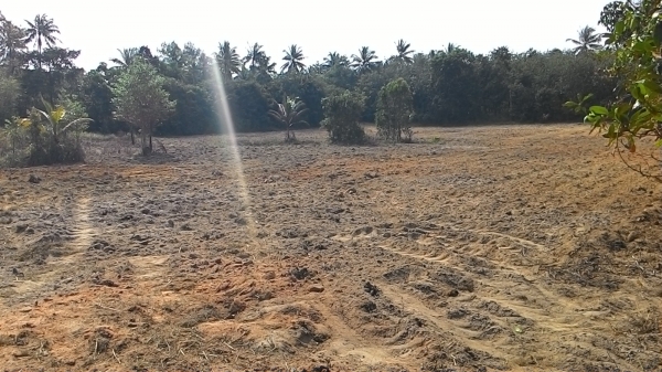 ขาย ที่ดิน