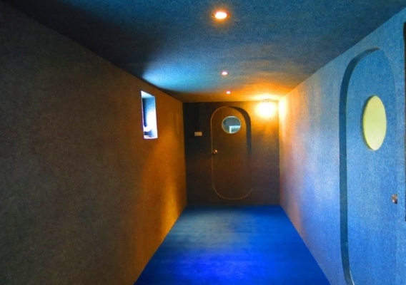 เปิดประมูลเรือสำราญ