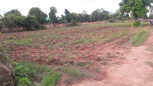 ขายด่วนที่ดิน 9 - 2 - 6 ไร่ ราคา 280,000บาทต่อไร่ ติดถนนลาดยาง อ.สีคิ้ว