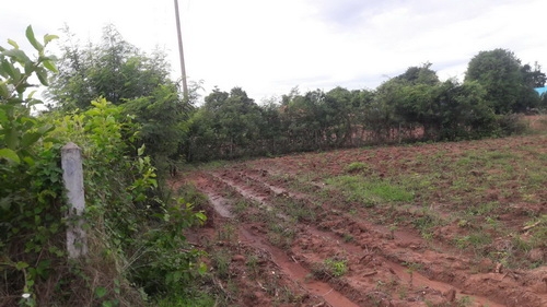 ขายด่วนที่ดิน 9 - 2 - 6 ไร่ ราคา 280,000บาทต่อไร่ ติดถนนลาดยาง อ.สีคิ้ว