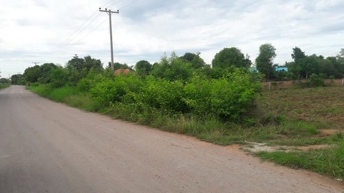 ขายด่วนที่ดิน 9 - 2 - 6 ไร่ ราคา 280,000บาทต่อไร่ ติดถนนลาดยาง อ.สีคิ้ว