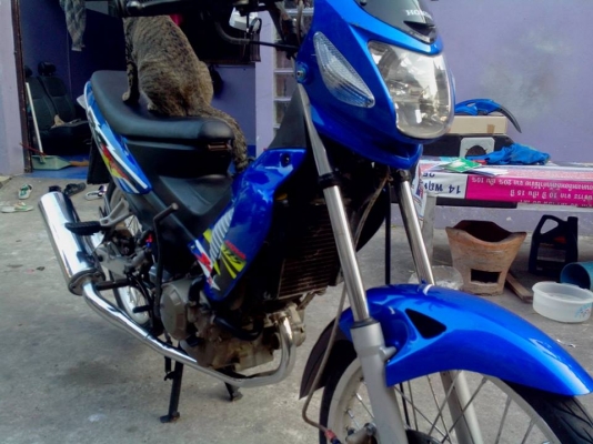 ฮอนด้า โซนิก