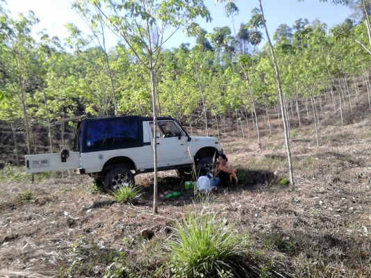 ขาย คาริเบียน ปี 1993 ตู้ปลา ราคา 125,000 บาท ขาย คาริเบียน ปี 1993 ตู้ปลา ราคา 125,000 บาท