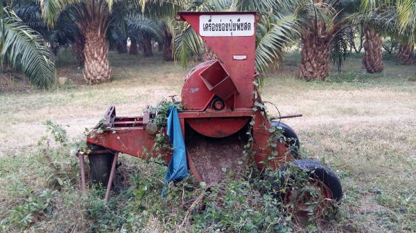 ขายเครื่องย่อยปุ๋ยพืชสด