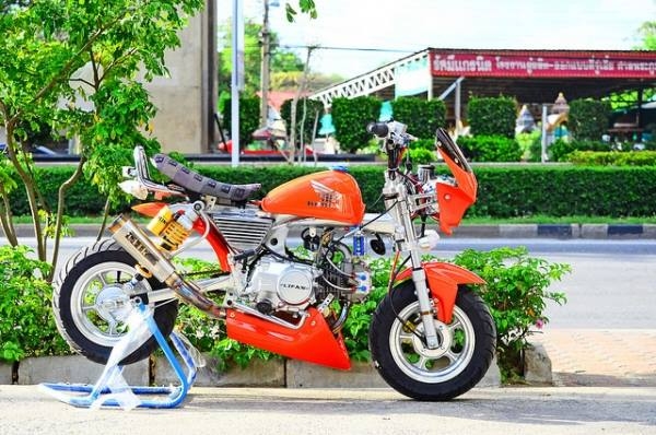 มังกี้แต่งๆๆ กอลิล่า แต่ง ลดราคาทุกรุ่น ต้อนรับปีใหม่ ด่วนๆๆ ลดๆๆ