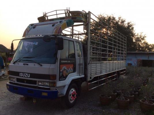 ขายด่วน 6 ล้อ อีซูซุ FRR 12 LA