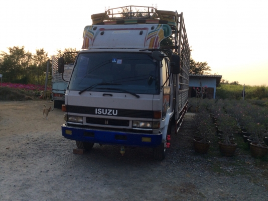 ขายด่วน 6 ล้อ อีซูซุ FRR 12 LA ด่วนครับ