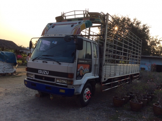 ขายด่วน 6 ล้อ อีซูซุ FRR 12 LA ด่วนครับ