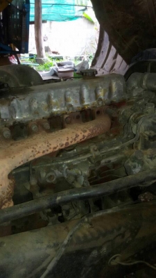 ขาย10ล้อเทนเลอร์ขึ้นรถเกี่ยว