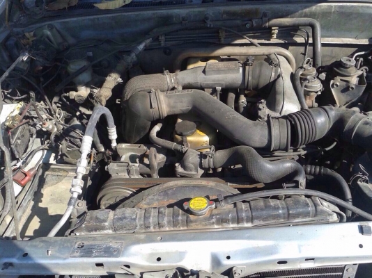 อีซูซุดราก้อนอาย เครื่อง2800 4WD ปี99 โอนลอยบุคคลหรือเเยกขายอะไหลทุกอย่าง อีซูซุดราก้อนอาย เครื่อง2800 4WD ปี99 โอนลอยบุคคลหรือเเยกขายอะไหลทุกอย่าง