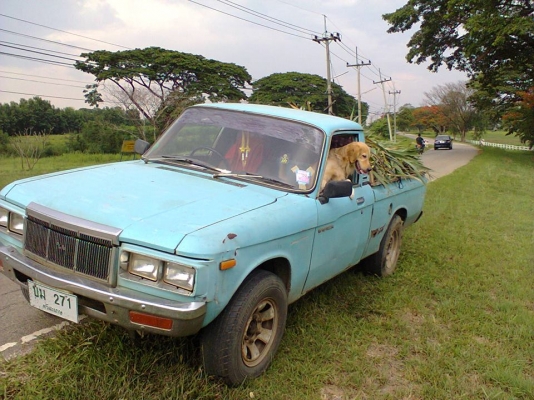 ขาย ISUZU KB2000 รถบ้านแท้ๆ เดิมๆ ทุกอย่าง ท้าพิสูจน์เดิมที่สุดในโลก คัสซีไม่มีผุแม้แต่น้อย เครื่องวิ่งไป-กลับกรุงทพฯ สบายๆ พร้อมใช้งาน เกียร์ธรรมดา ทะเบียนพร้อม ขาย ISUZU KB2000 รถบ้านแท้ๆ เดิมๆ ทุกอย่าง ท้าพิสูจน์เดิมที่สุดในโลก คัสซีไม่มีผุแม้แต่น้อย เครื่องวิ่งไป-กลับกรุงทพฯ สบายๆ พร้อมใช้งาน เกียร์ธรรมดา ทะเบียนพร้อม