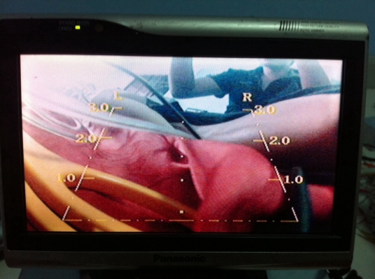 LCD WIDE 6.5นิ้ว Panasonic สีสวยคมชัด Camera back AV มือ2 ญี่ปุ่น LCD WIDE 6.5นิ้ว Panasonic สีสวยคมชัด Camera back AV มือ2 ญี่ปุ่น