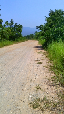 ขายที่ดินติดถนน