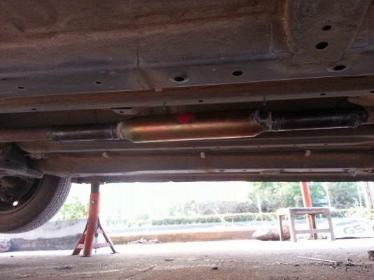 ขายต่อพักกลางซิ่ง NITTO เกียร์ ออโต้ ต้นมาปลายดี