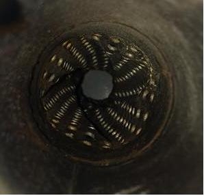 ขายต่อพักกลางซิ่ง NITTO เกียร์ ออโต้ ต้นมาปลายดี