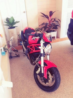 ขาย Monster 795