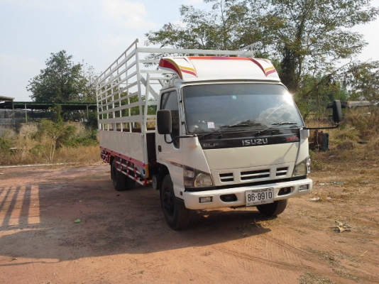 ขายด่วน รถหกล้อ ISUZU NQR 175 ,5.50 เมตร สภาพพร้อมใช้