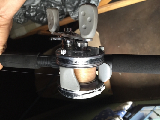 รอกเบท abu แอมบัสเดอร์