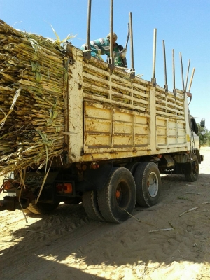 ขายด่วน HINOF18สองเพลาดั้มมีระบบลากลูกสภาพเดิมสุดๆโทร0843923995 ขายด่วน HINOF18สองเพลาดั้มมีระบบลากลูกสภาพเดิมสุดๆโทร0843923995