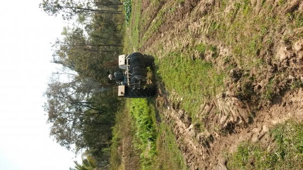 ขายรถไถฟอร์ด ซุปเปอร์เมเจอร์  พร้อมผานหลัง  7