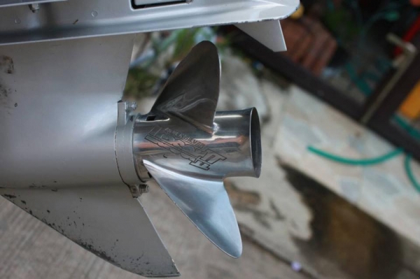 ขายเรือแบสนอก