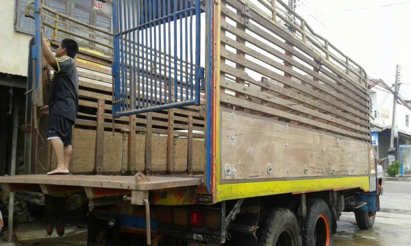 สิบล้อหน้ายาว(ดั้ม)2 เพลาเดิมๆ เครื่อง 6BD1 คัสซีสวย สิบล้อหน้ายาว(ดั้ม)2 เพลาเดิมๆ เครื่อง 6BD1 คัสซีสวย