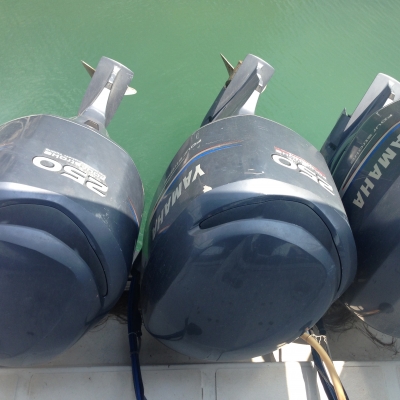 ขาย Speed Boat  51 ที่นั่ง