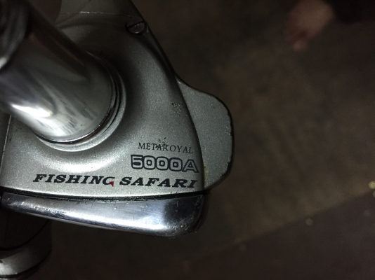 รอก รีโอบีซาฟารี5000a