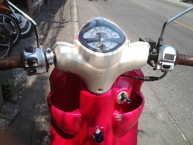 ซูซูกิเจลาโต้ปี56