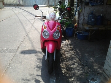 ซูซูกิเจลาโต้ปี56