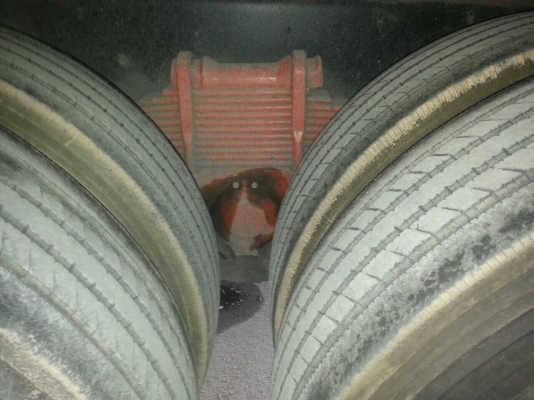 (ขายยตัดเงินสด900000.)195 แรง 10ล้อเพลาเดียว ปี 47 รถสวยมาก...รถห้างแท้เดิมๆ