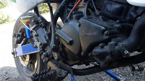 คา-วา-ซา-กิ    ง๊าม-งาม ราคาโดน ๆ