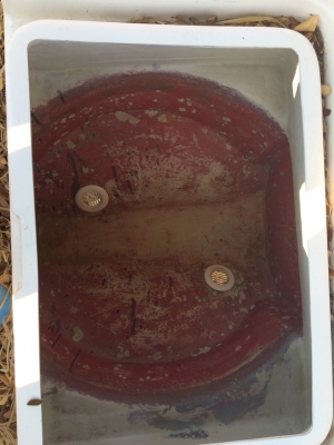 เรือ21ฟุตเครื่อง100แรง4จังหวะ