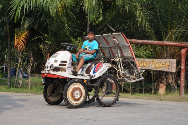 ขายรถดำนาMITSUBISHI 4แถว สภาพสวยเดิมจากญี่ปุ่นยังไม่เคยใช้ในไทย 29,000เท่านั้น!!