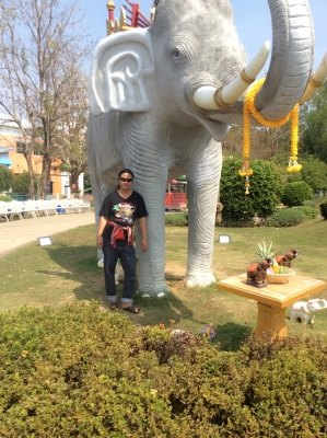 ใครมีรถบรรทุก hino 251 320 344 แรง เดี่ยวหรือพ่วงก็ได้