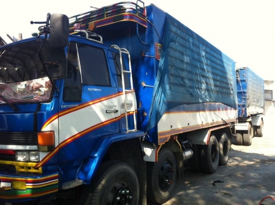 ขายร็อกกี้240 เกาะโบ แม่ลูกดั้ม สวย สวย ครับ